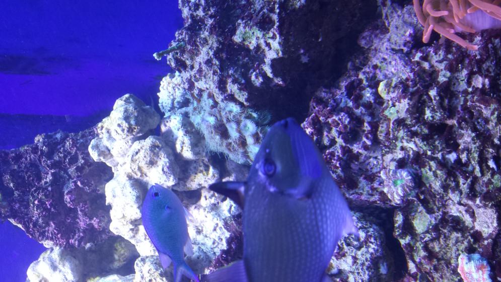 20140318_202249.jpg