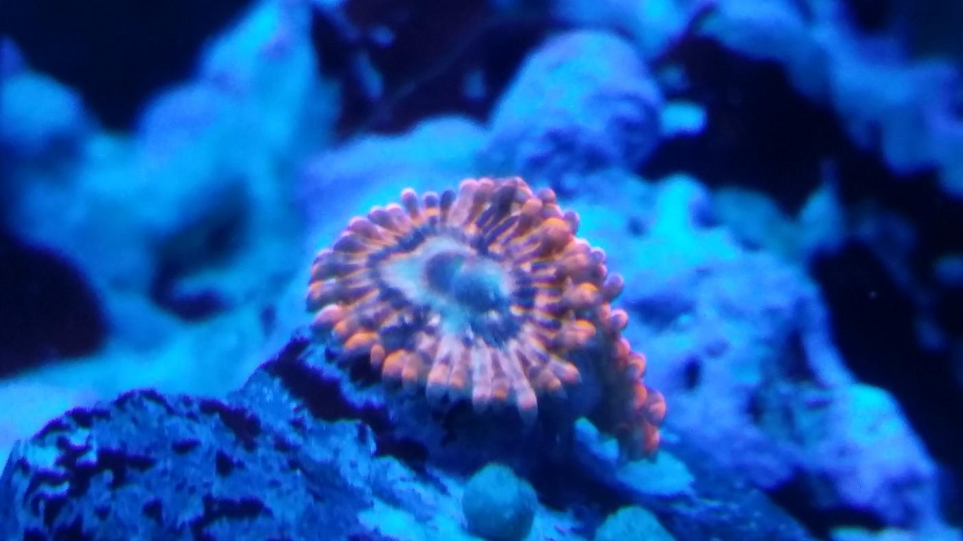 20140322_134812.jpg
