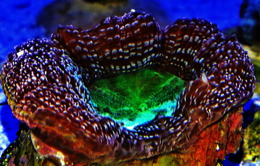 20140401_195953_2.jpg