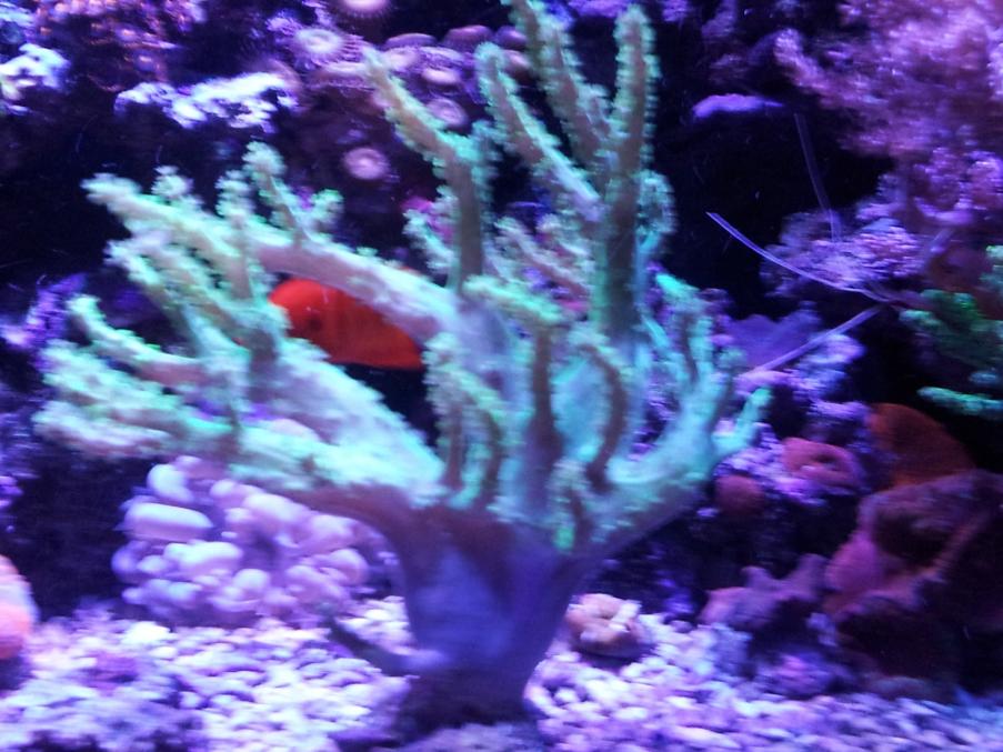 20140413_223851.jpg