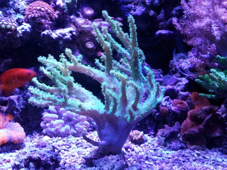20140413_223855.jpg