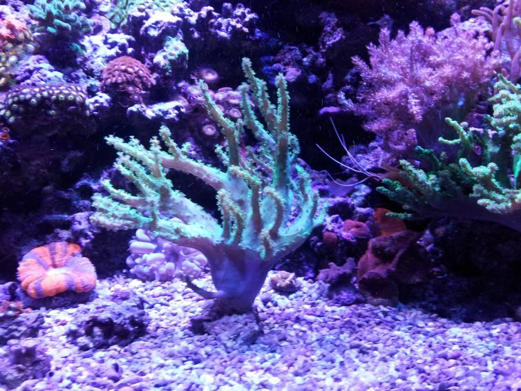 20140413_223910.jpg
