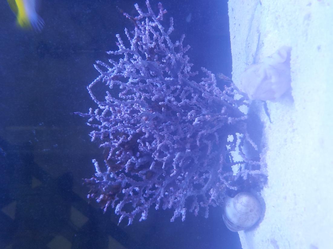 20140504_165034.jpg