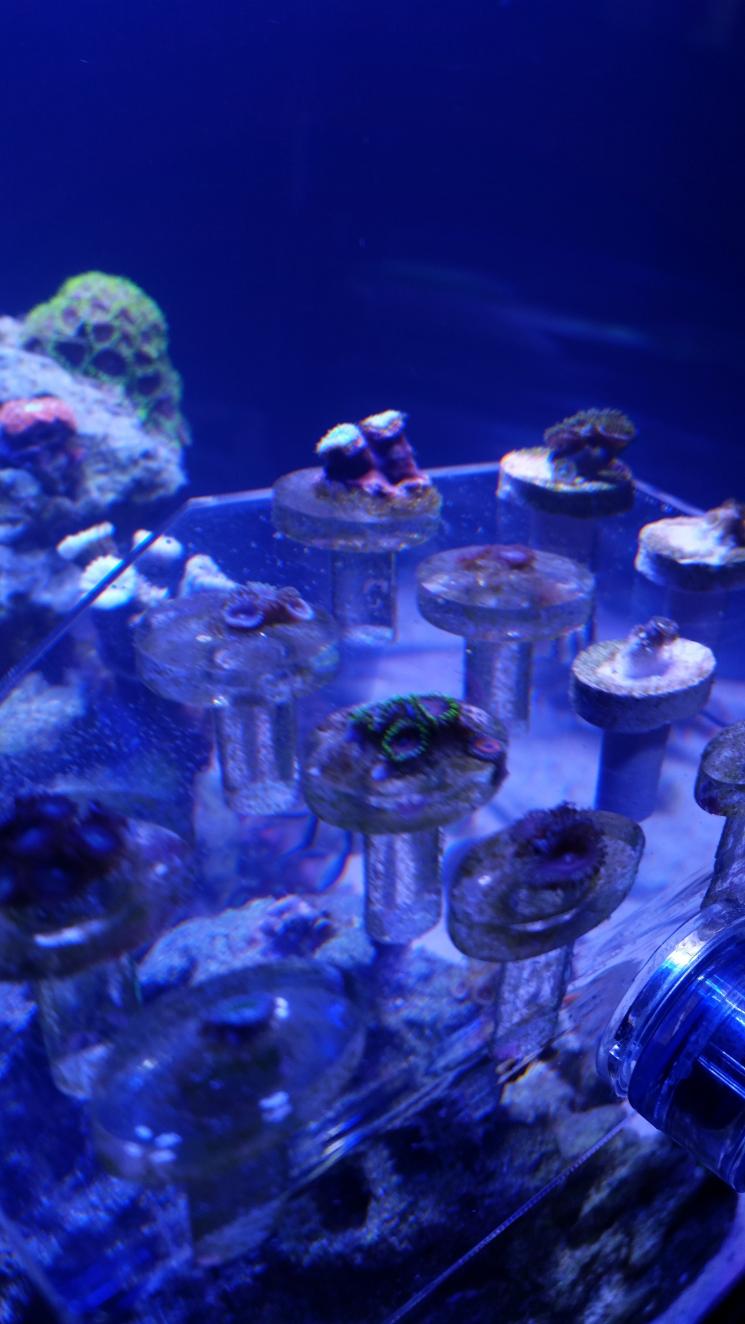 20140615_210214.jpg