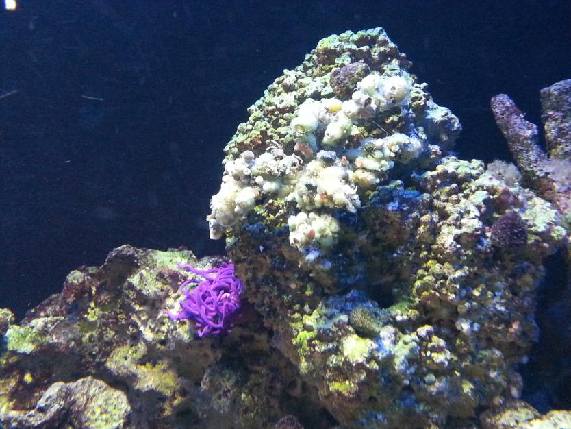 20140712_090153.jpg