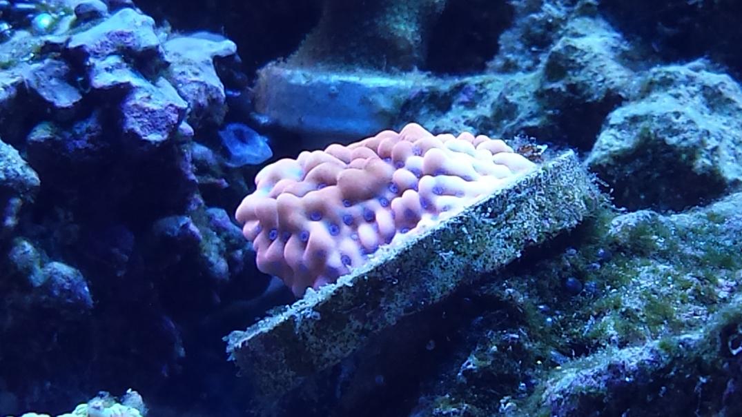 20140712_221850.jpg