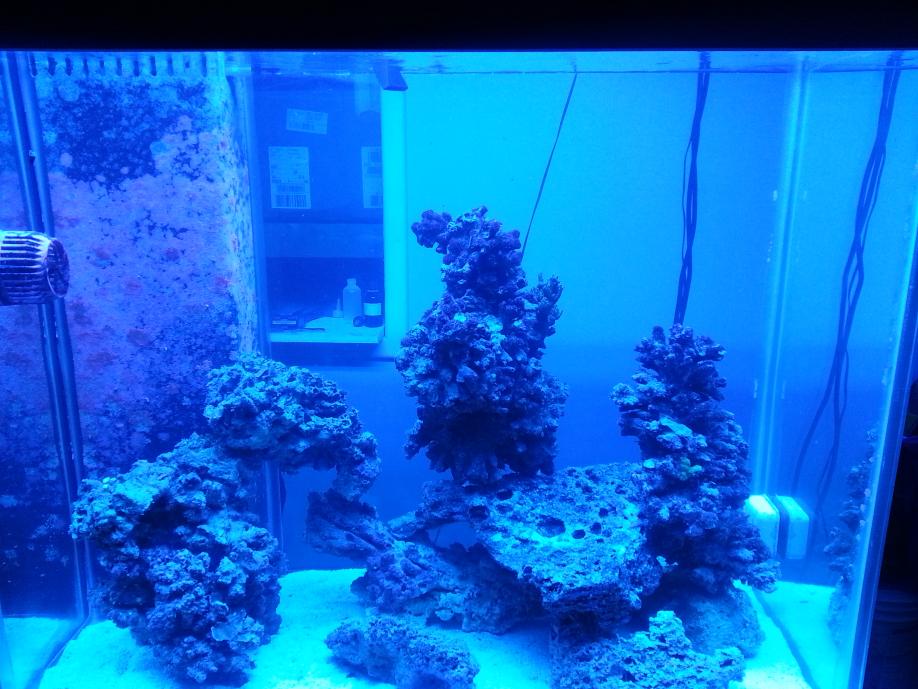 20140720_203514.jpg