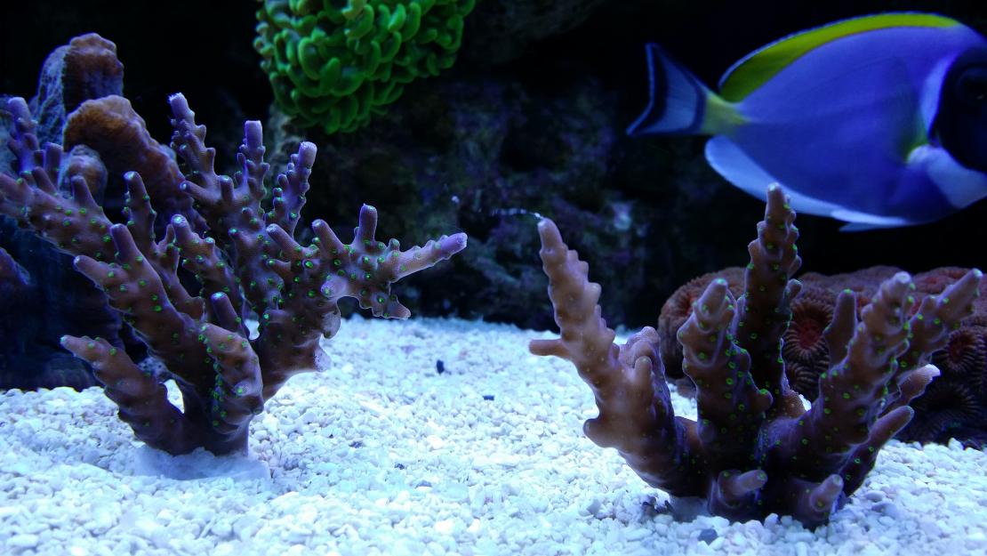 20140727_193905.jpg