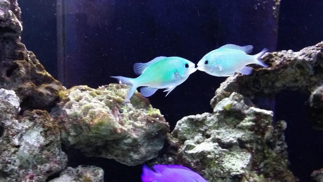 20140803_211547.jpg