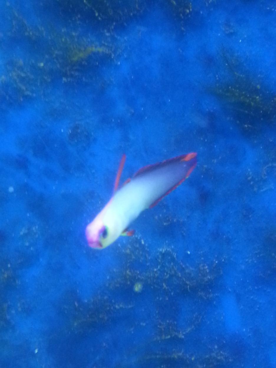 20140901_205927.jpg