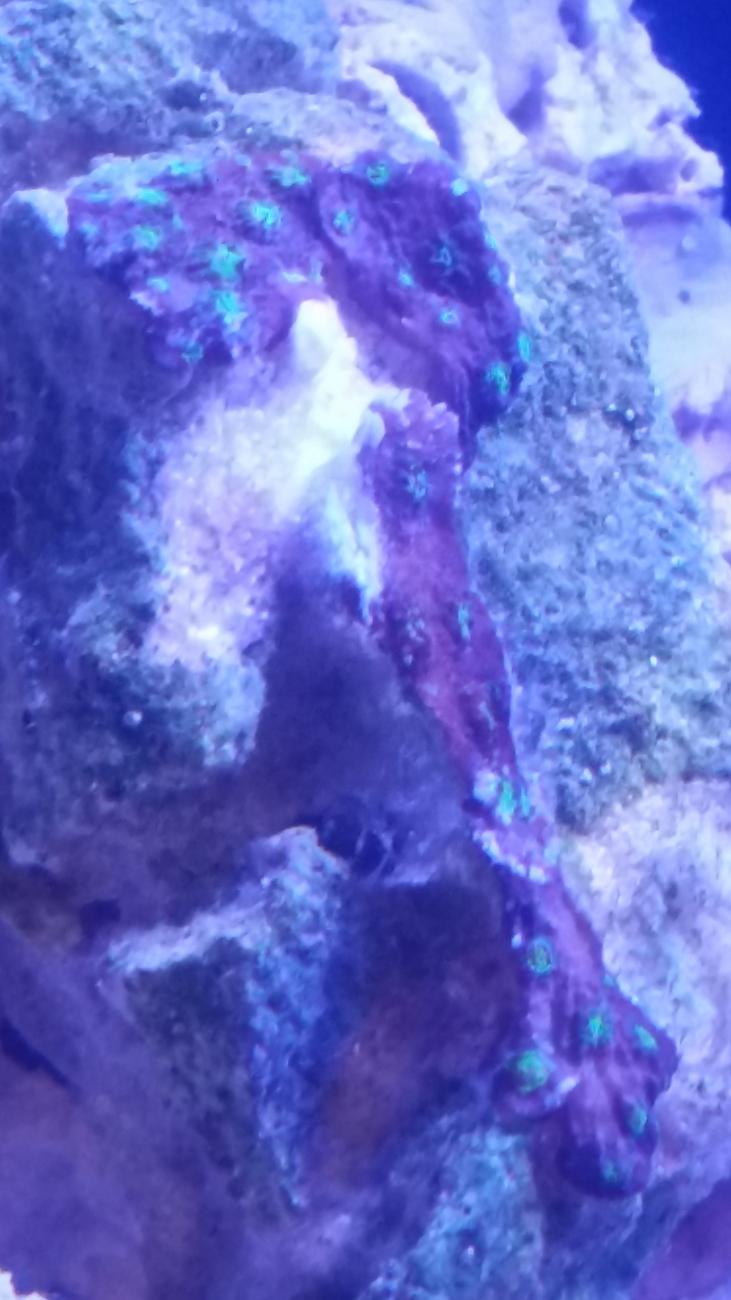 20140903_224541.jpg
