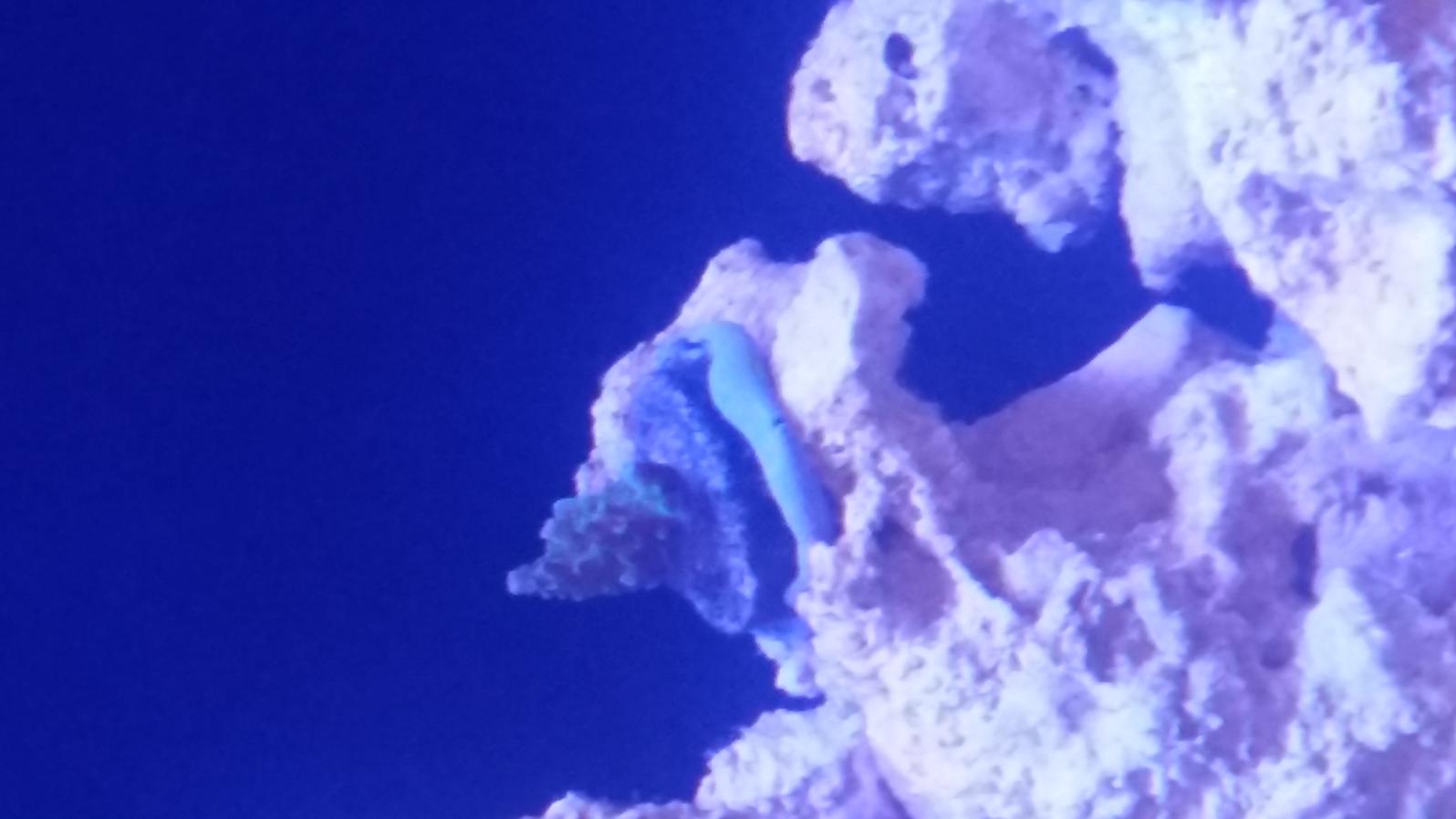 20140903_224549.jpg