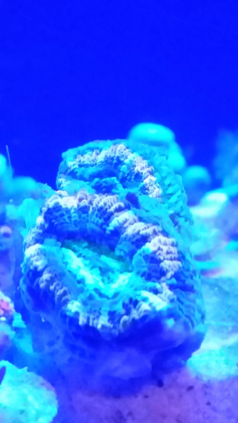 20140904_215624.jpg