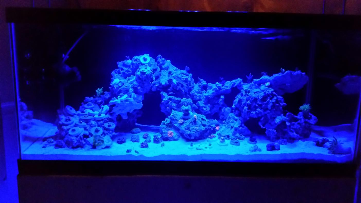20140904_235924.jpg