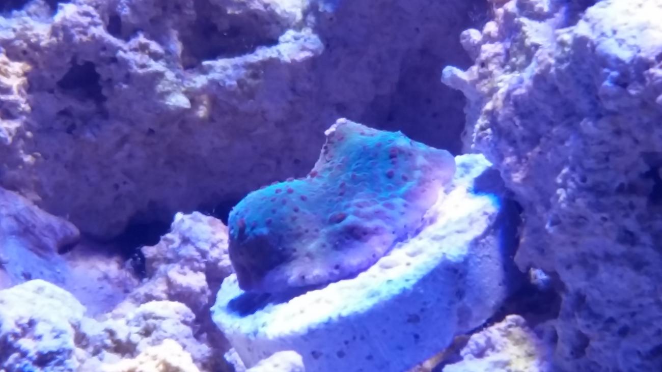 20140905_000409.jpg