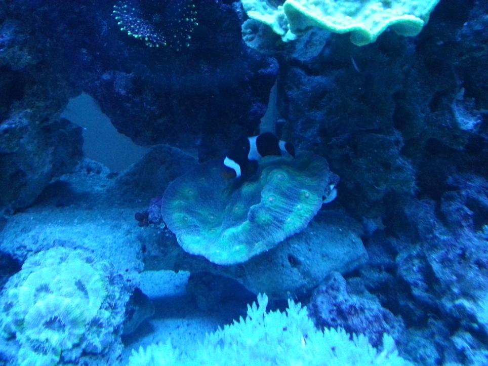 20140906_223458.jpg