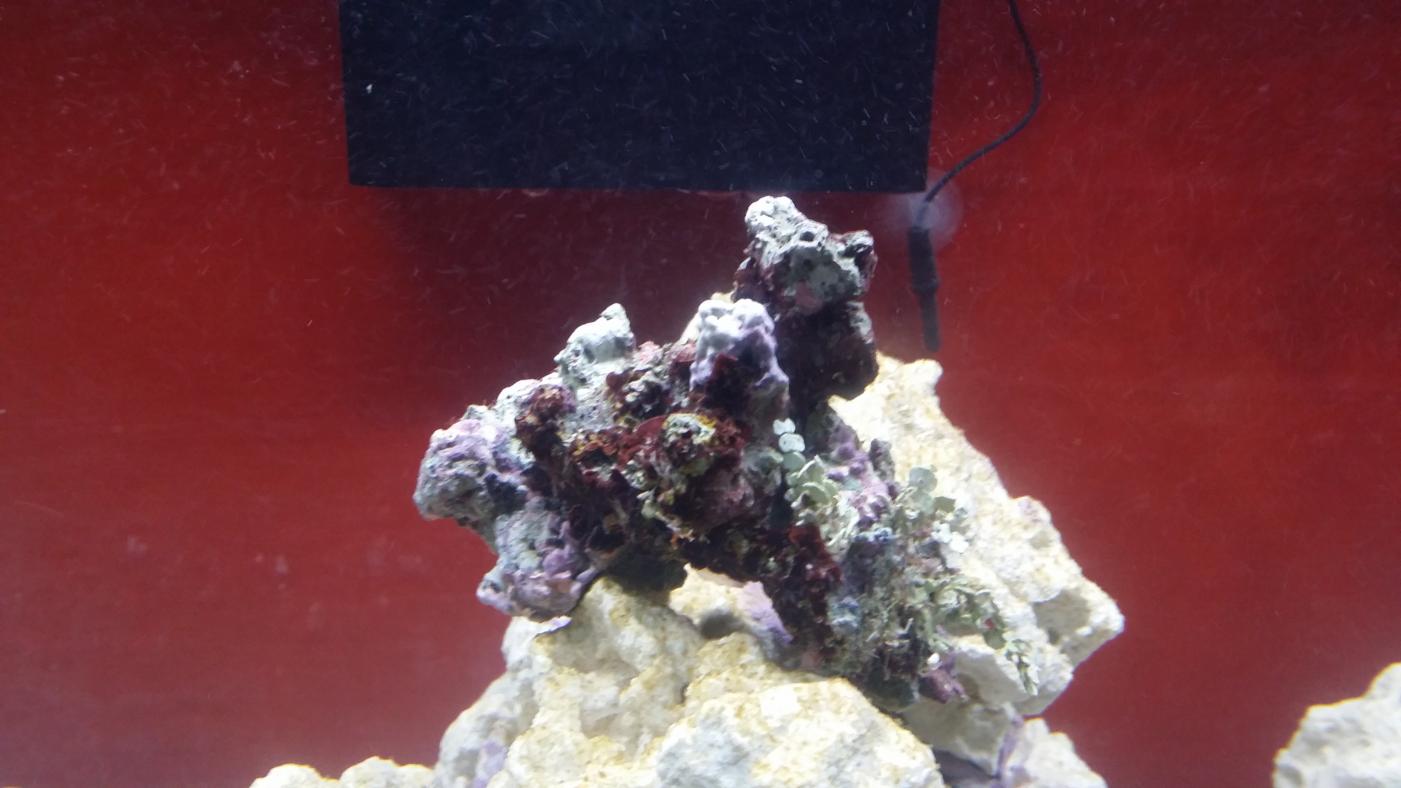 20140907_104117.jpg