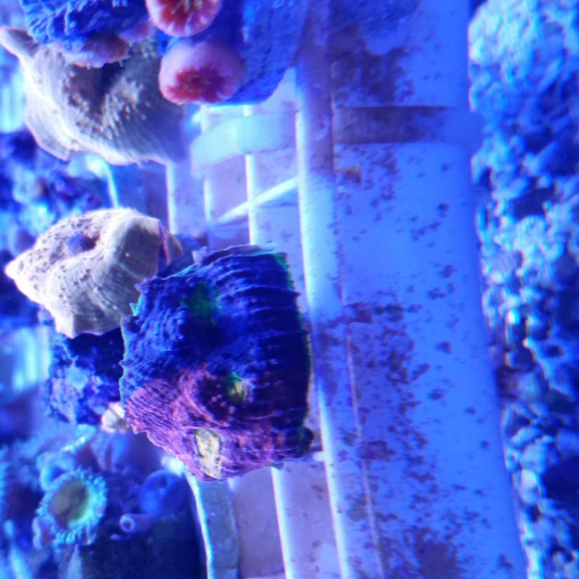 20140916_030447.jpg