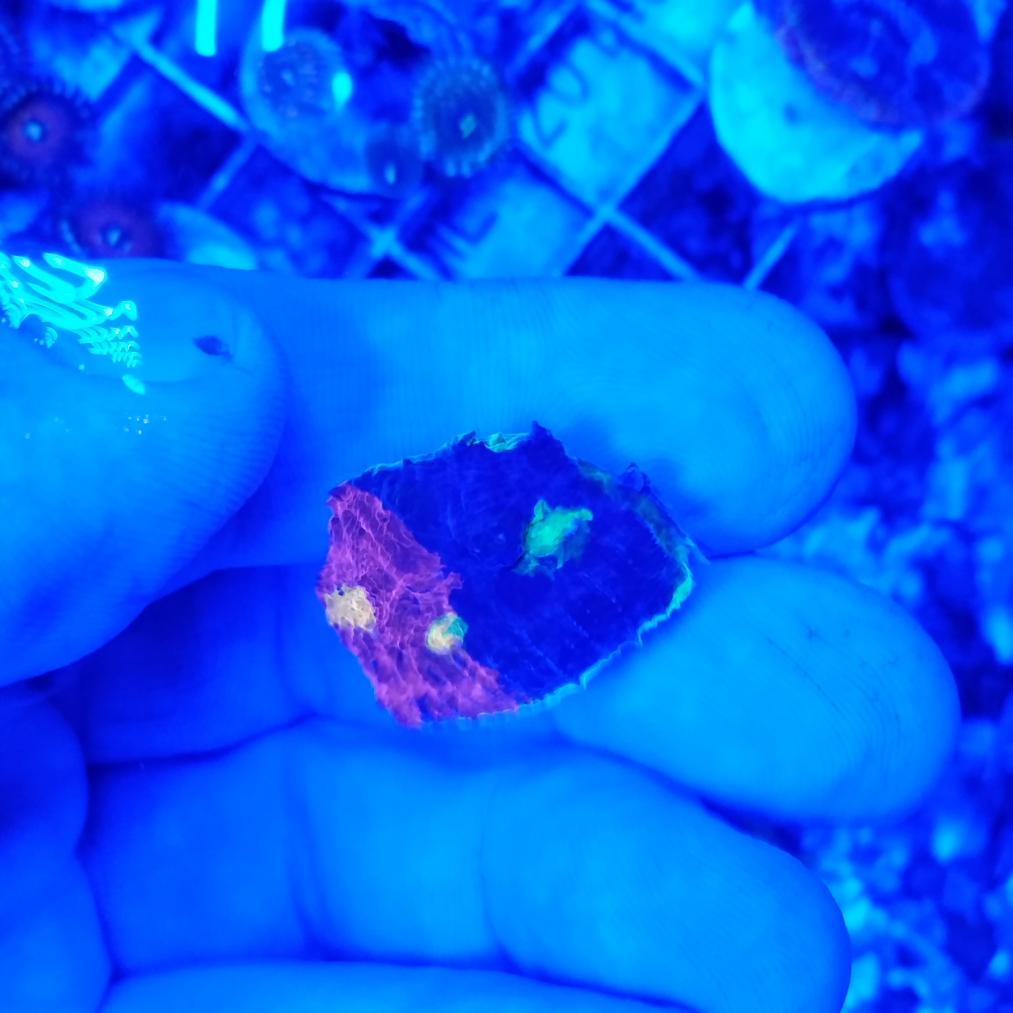 20140916_030834.jpg