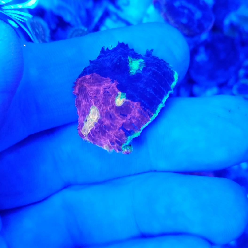 20140916_030840.jpg