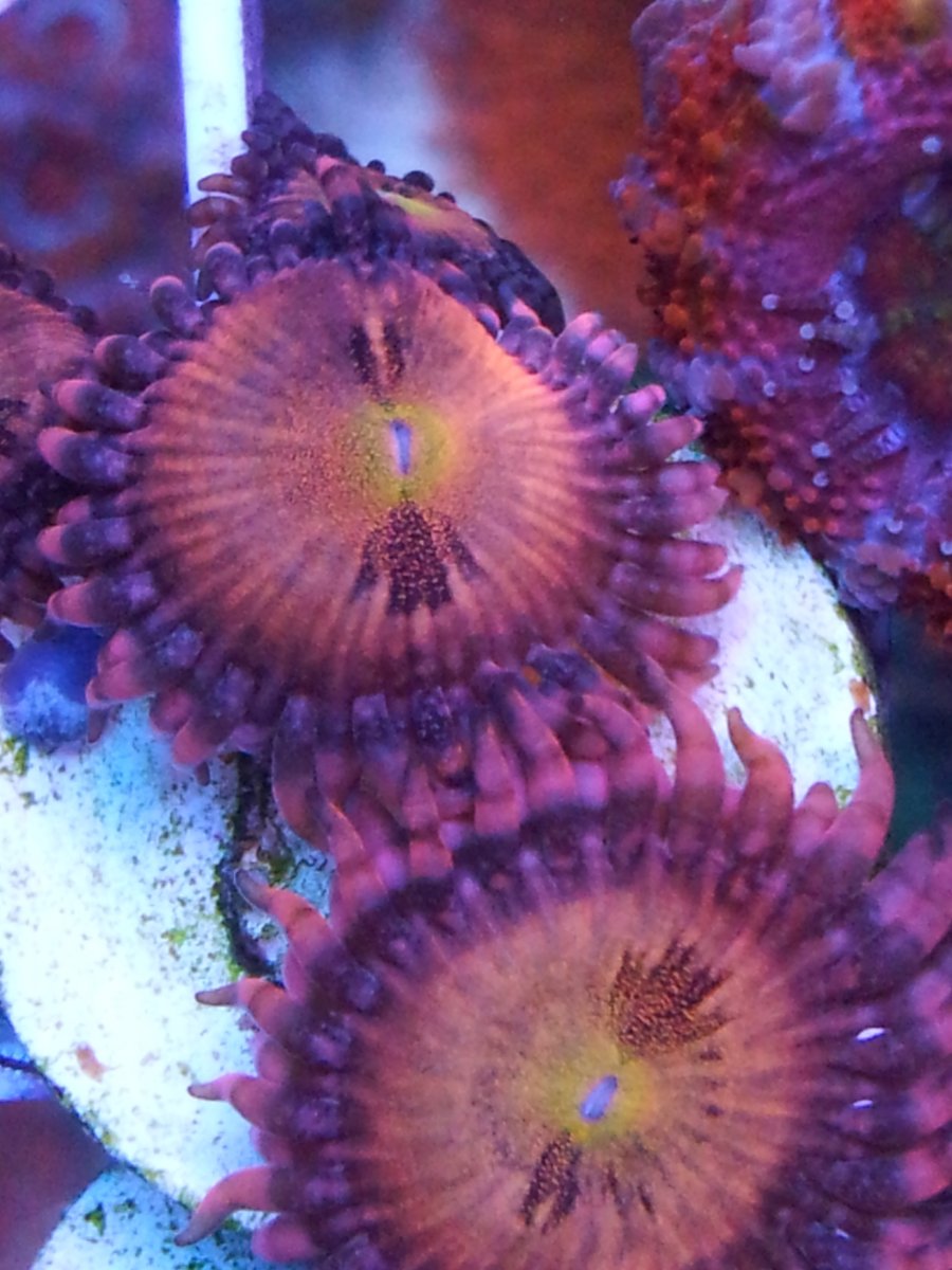 20140916_193643.jpg