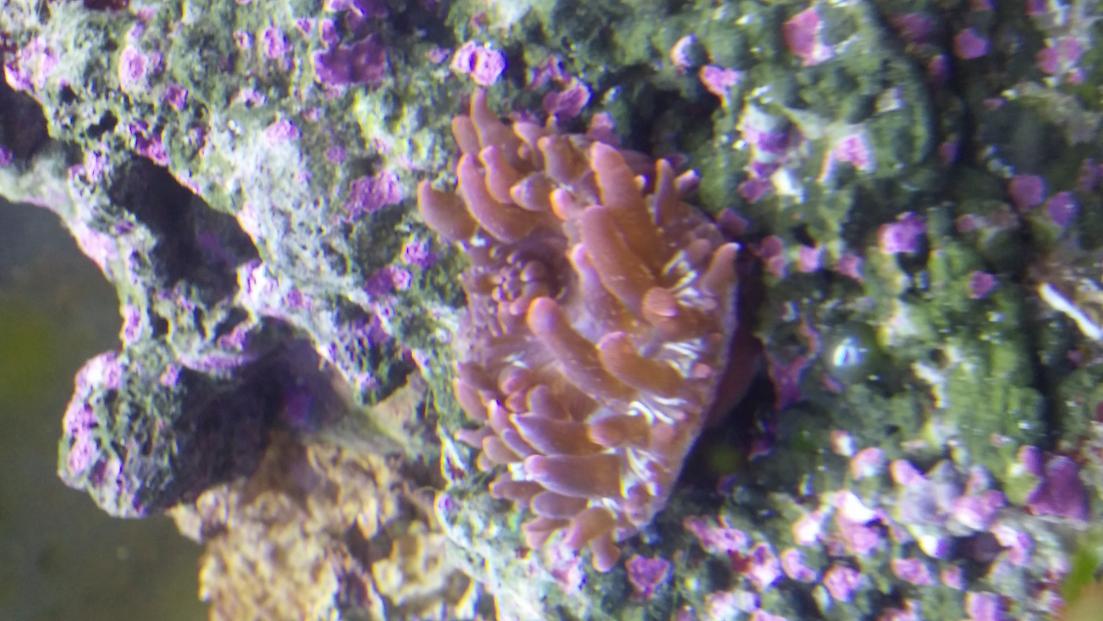 20140925_192402.jpg