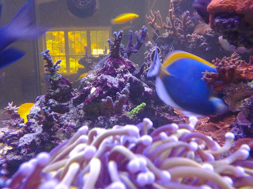 20140929_132213.jpg