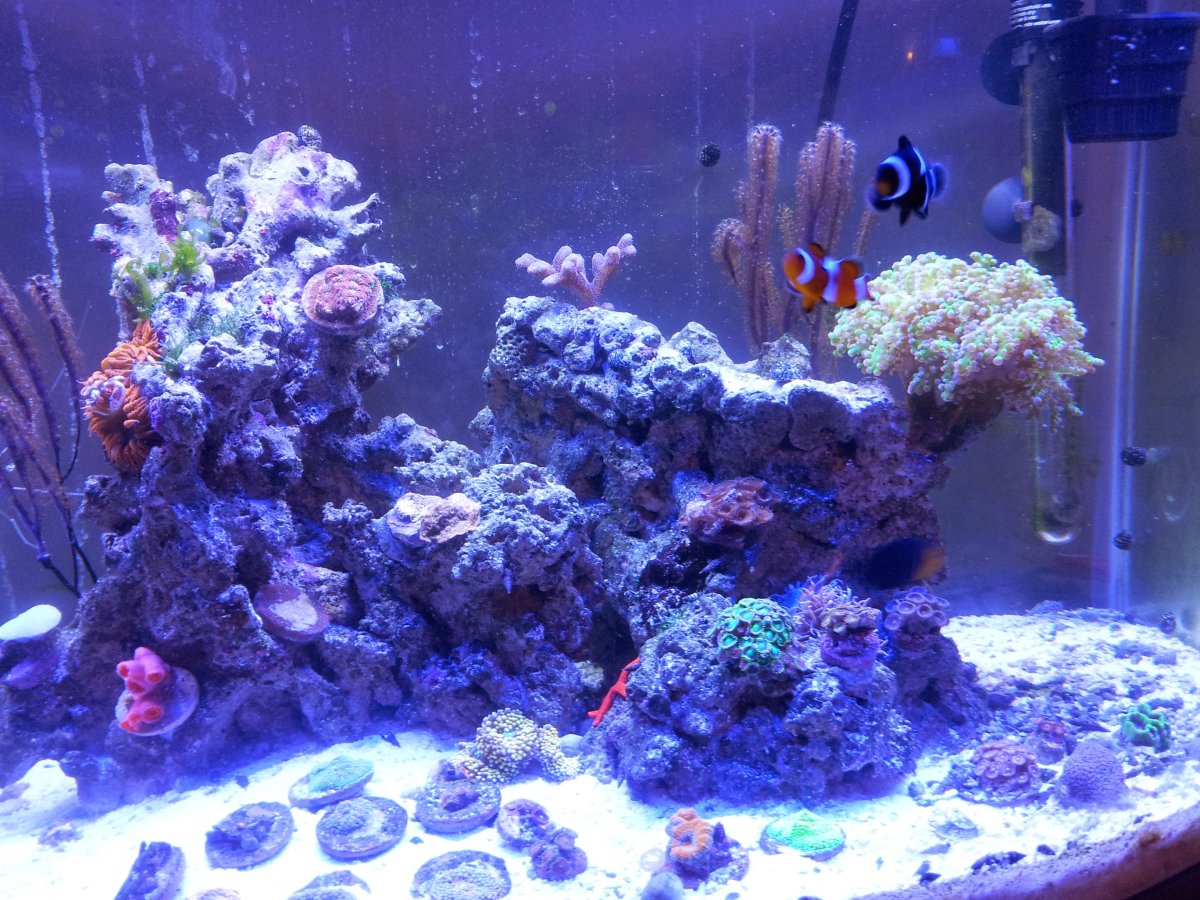 20141015_210950.jpg
