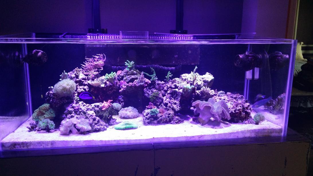 20141018_110849.jpg