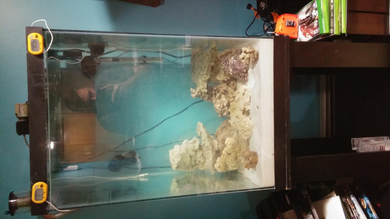 20141025_093202.jpg