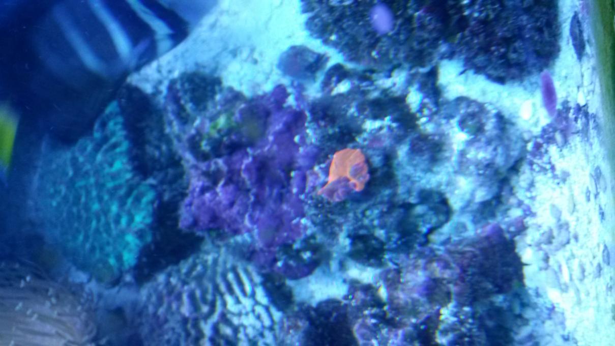 20141029_171248.jpg