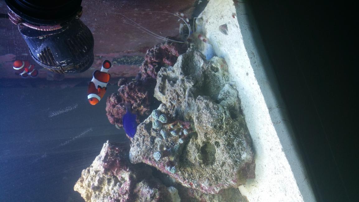 20141103_173209.jpg