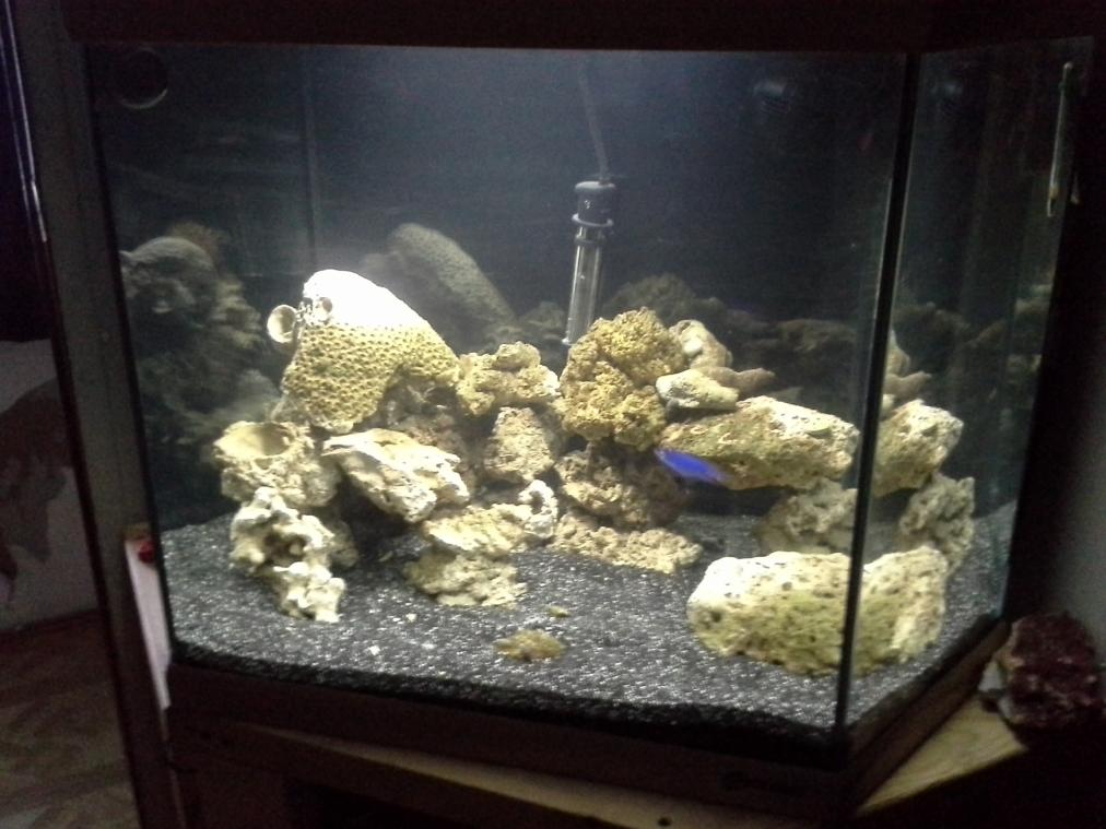 20141124_160556.jpg