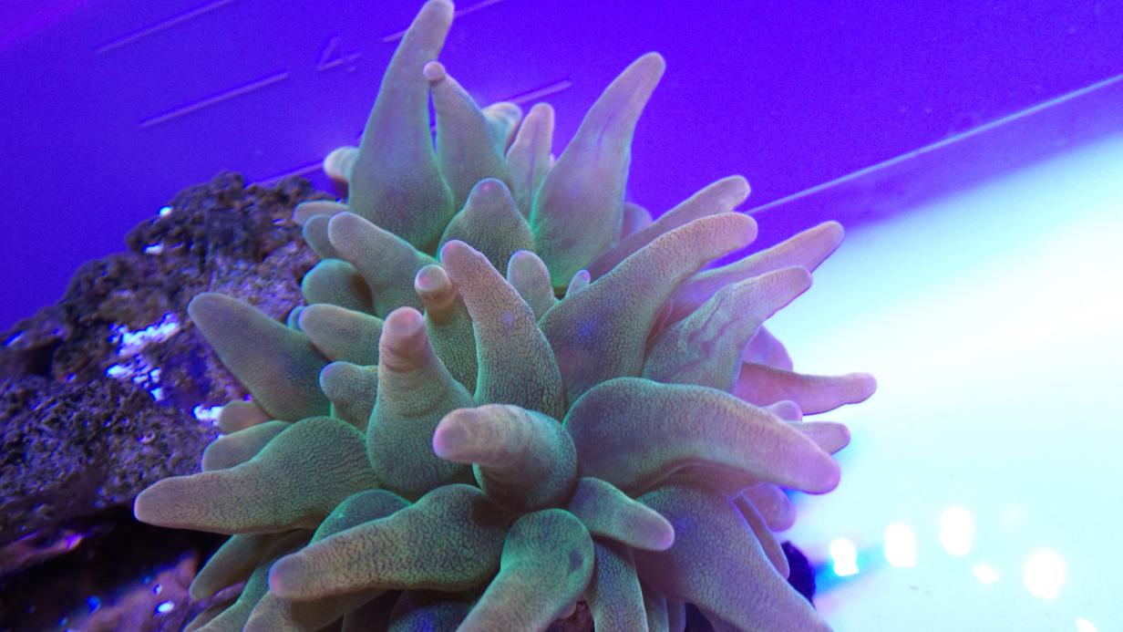 20141129_073050.jpg