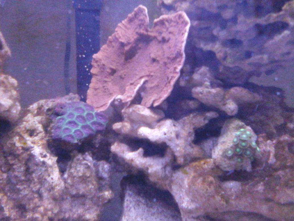 20141203_094651.jpg