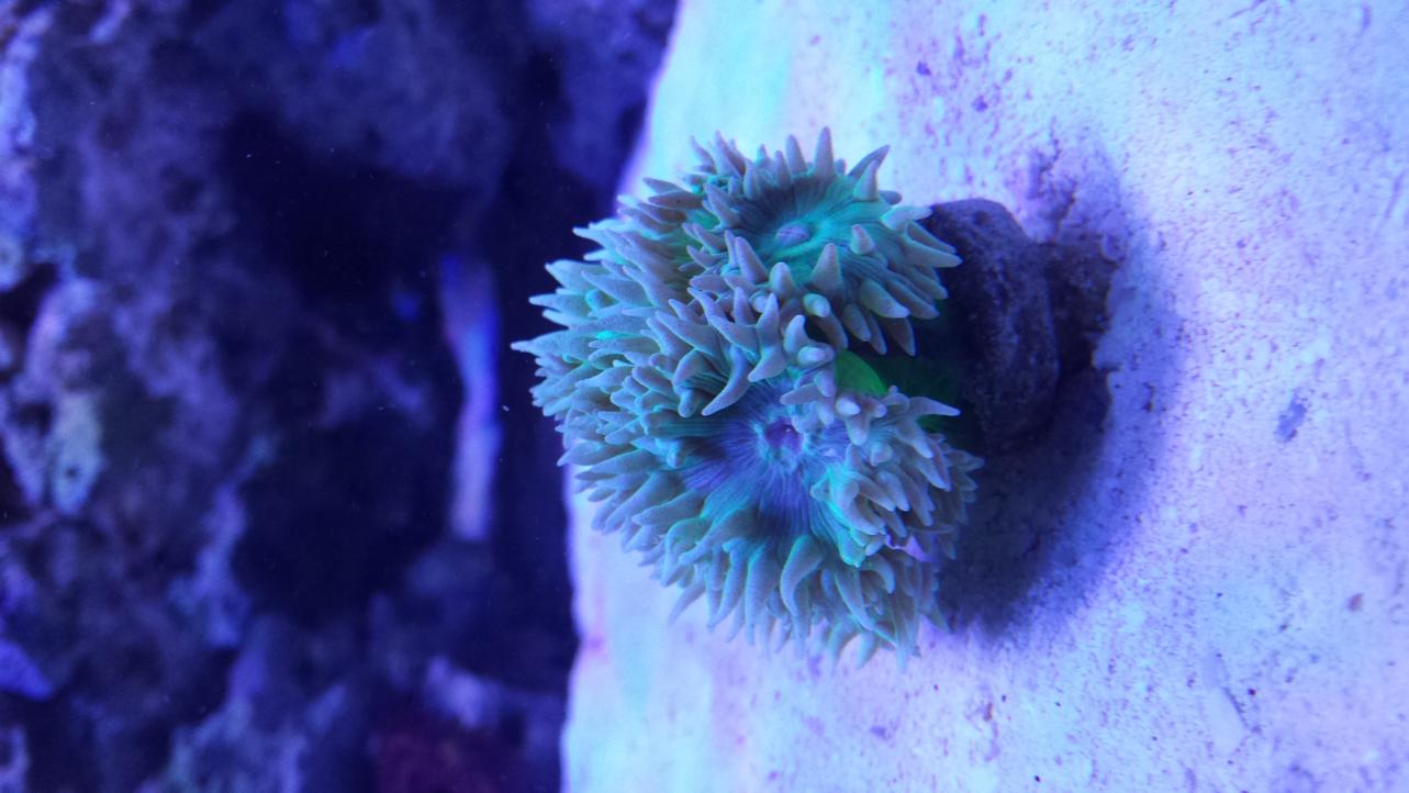 20141204_172735.jpg