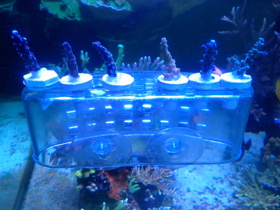 20141206_154739.jpg