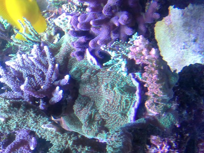 20141210_195854.jpg