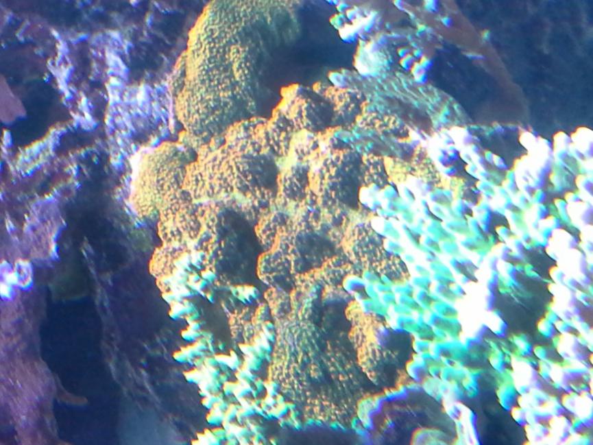 20141210_200006.jpg