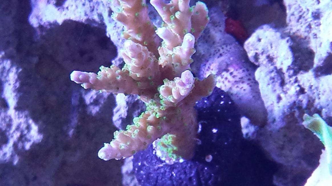 20150119_183221.jpg