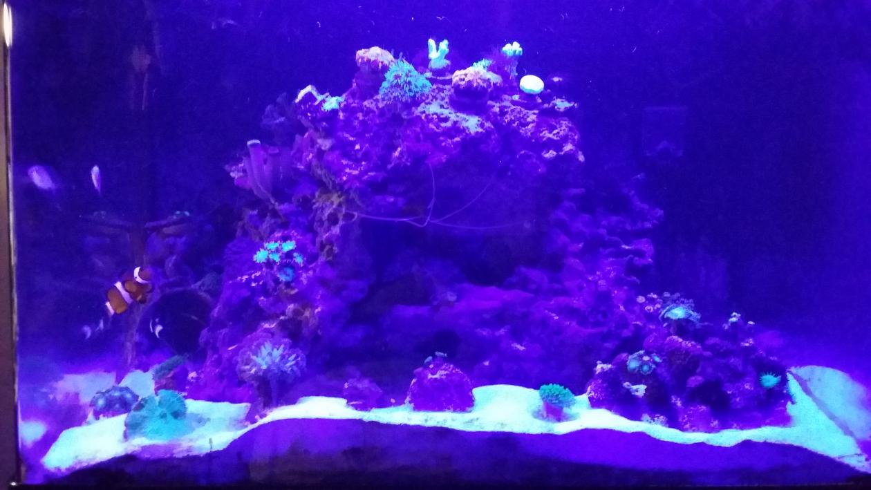 20150123_221745.jpg