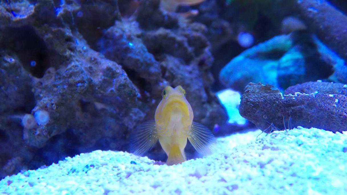 20150124_053606.jpg