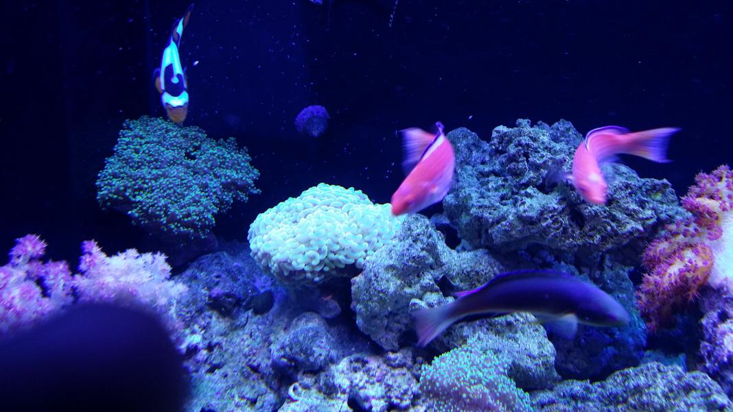 20150128_180345.jpg