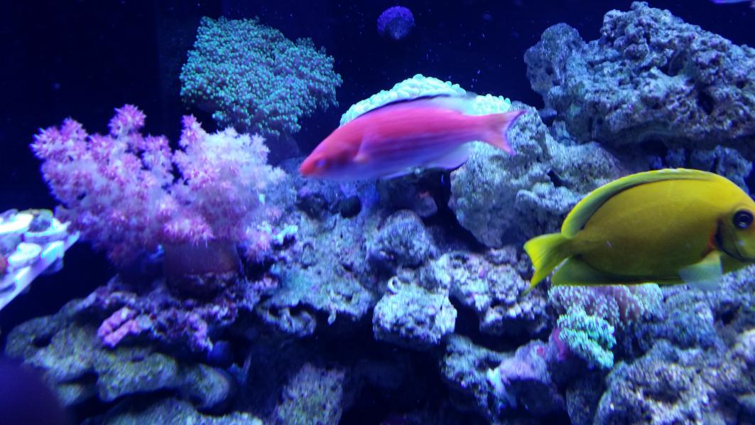 20150128_180357.jpg