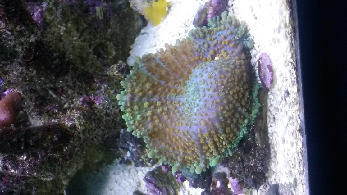 20150128_204039.jpg