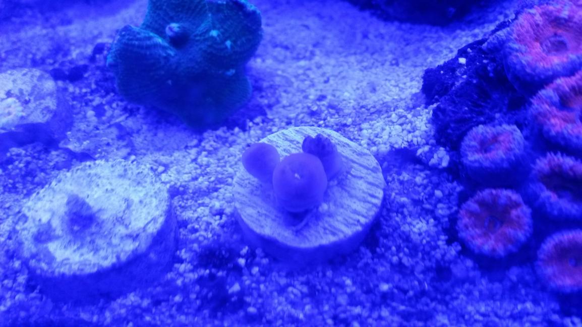 20150205_212356.jpg
