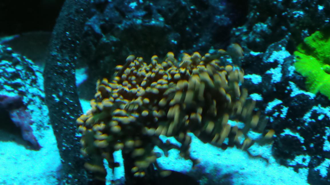 20150221_075058.jpg