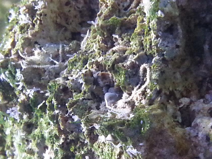 20150319_161932.jpg