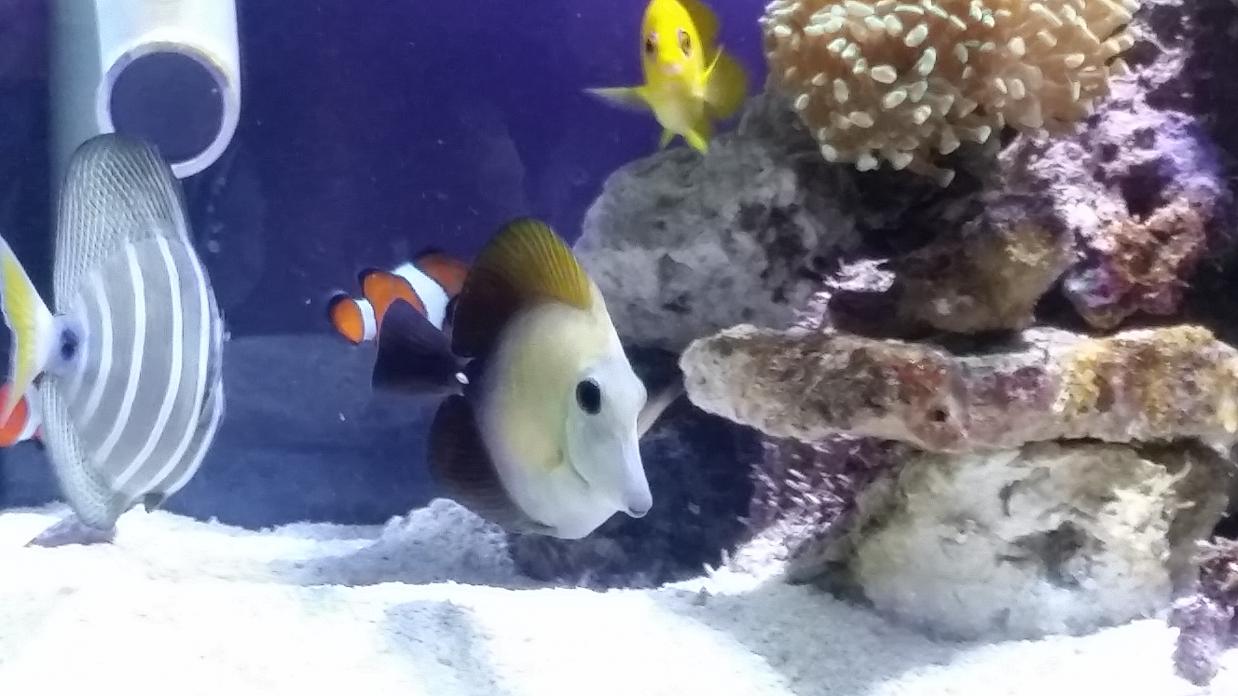 20150415_155729.jpg