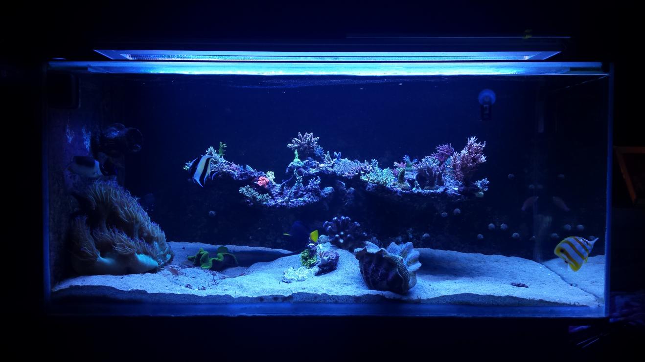 20150415_213718.jpg
